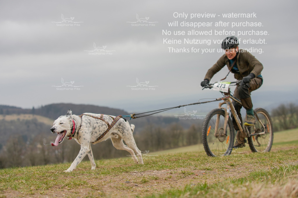 BikeSA-393 | stephaniefillaphotographie - Realisiert mit Pictrs.com