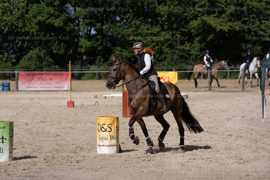 WS_SP_60_SinaFilmArt_IN08611 | working equitationturnier fotograf videograf stoibphotography marixx film working equitation deutschland reitsport turnierfotografie eventfotografie equestrian events