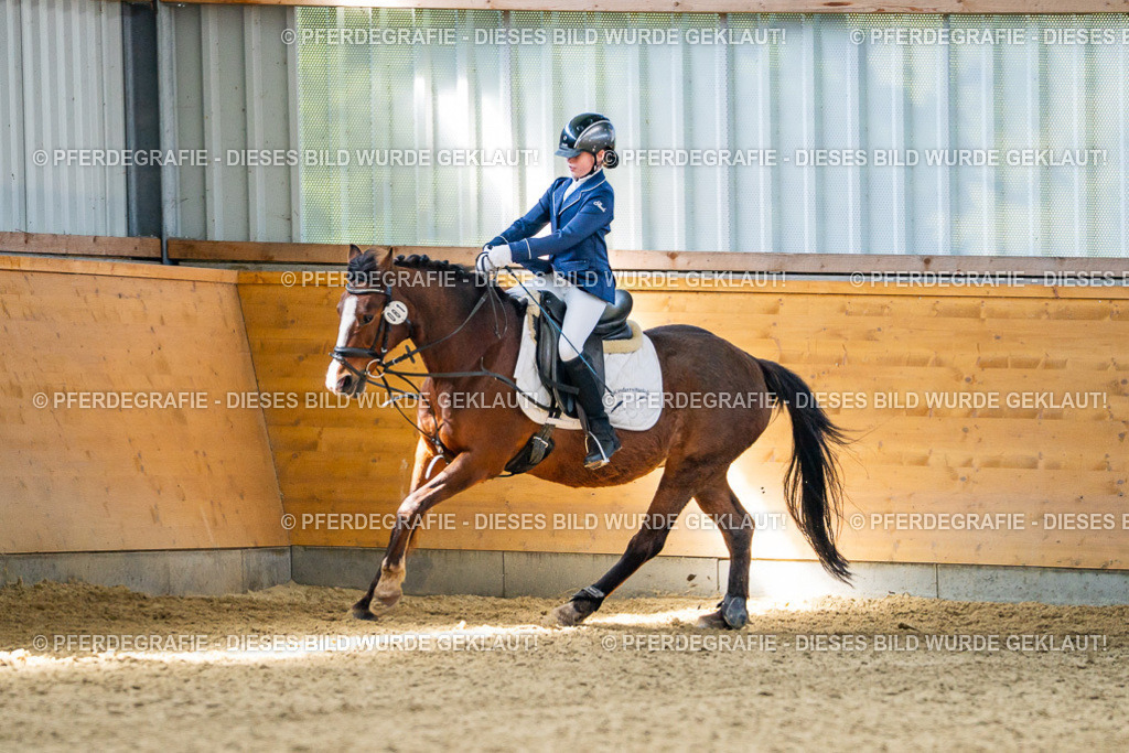 DSC02639 | Pferdegrafie