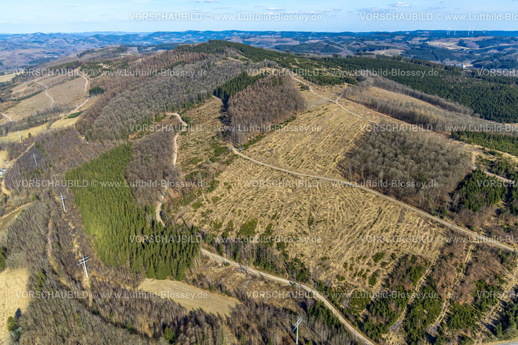Kirchhundem250308377Welschen-Ennest | Luftbild, Waldgebiet Hügellandschaft mit Waldschäden in Welschen Ennest, Kirchhundem, Sauerland, Nordrhein-Westfalen, Deutschland