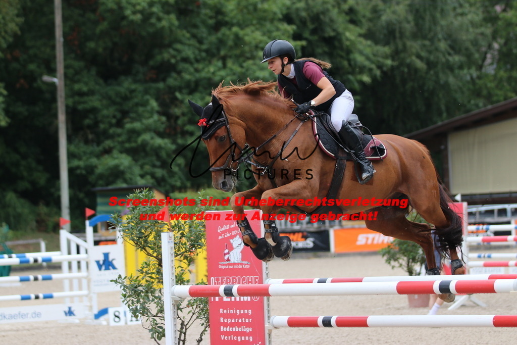 IMG_2447 | lmwpictures - Realisiert mit Pictrs.com