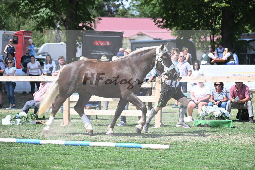 Kat-Nr. 63 Isar_Zwickl_20231030 | hf-fotografie - Realisiert mit Pictrs.com