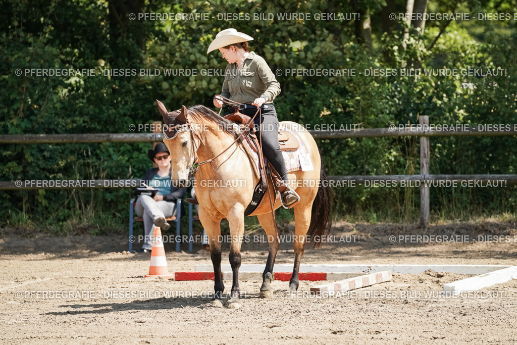 DSC06734 | Pferdegrafie