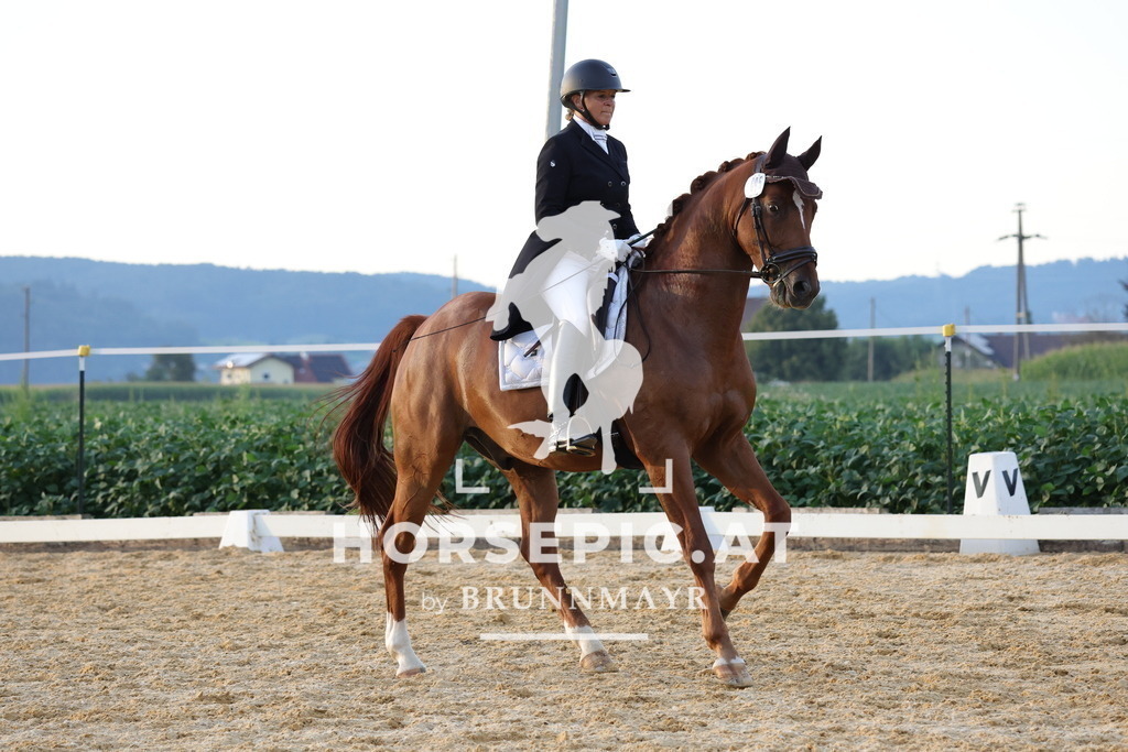 0P6A1980 | Willkommen bei Brunnmayr - Design & Fotografie – Ihrem Spezialisten für Reitturniere und Pferdeveranstaltungen in Oberösterreich, Salzburg und Bayern! Seit über 17 Jahren sind wir leidenschaftlich dabei.
