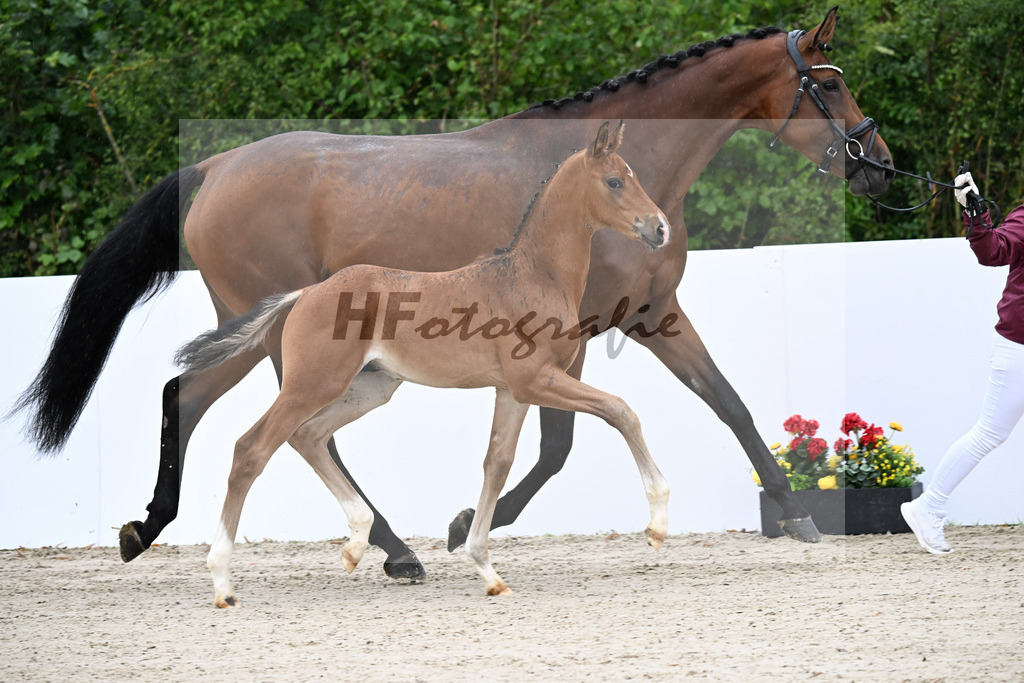 Sky x Bon Vivaldi NRW_HF_Klement_23250083 | hf-fotografie - Realizzato con Pictrs.com