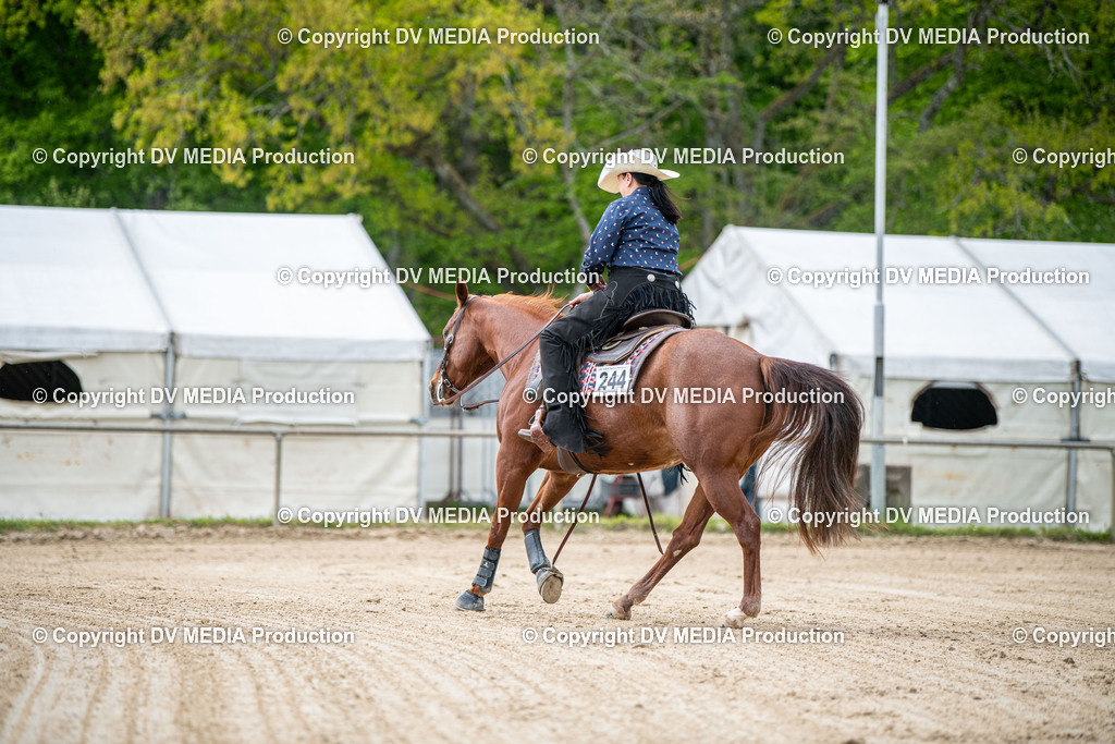 Heiligenwald Tag 2-2202 | dv-media-shop - Realisiert mit Pictrs.com