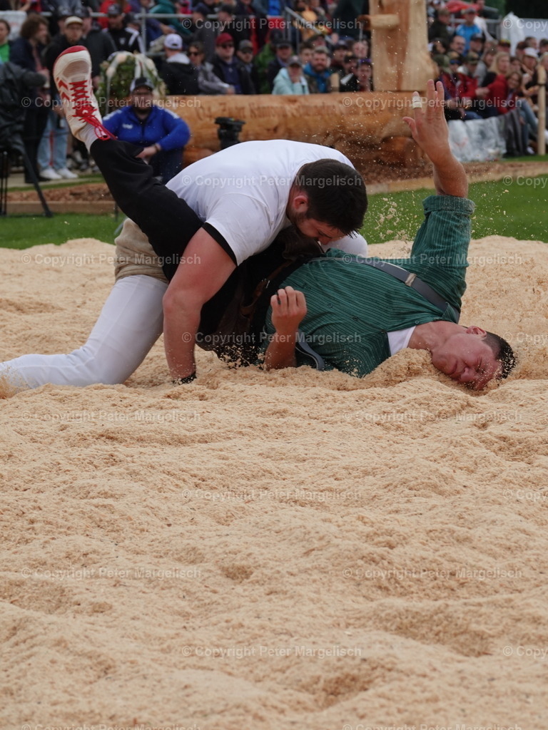 DSC06368 | Schwingen - Realisiert mit Pictrs.com