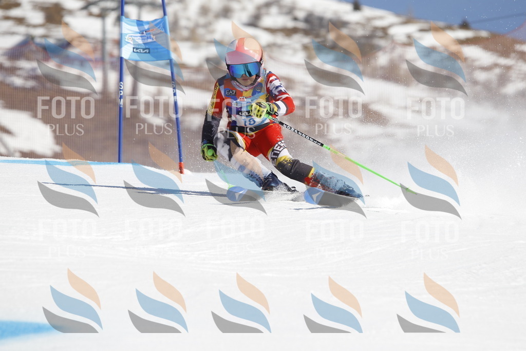 _U3G8813 | holidayphoto