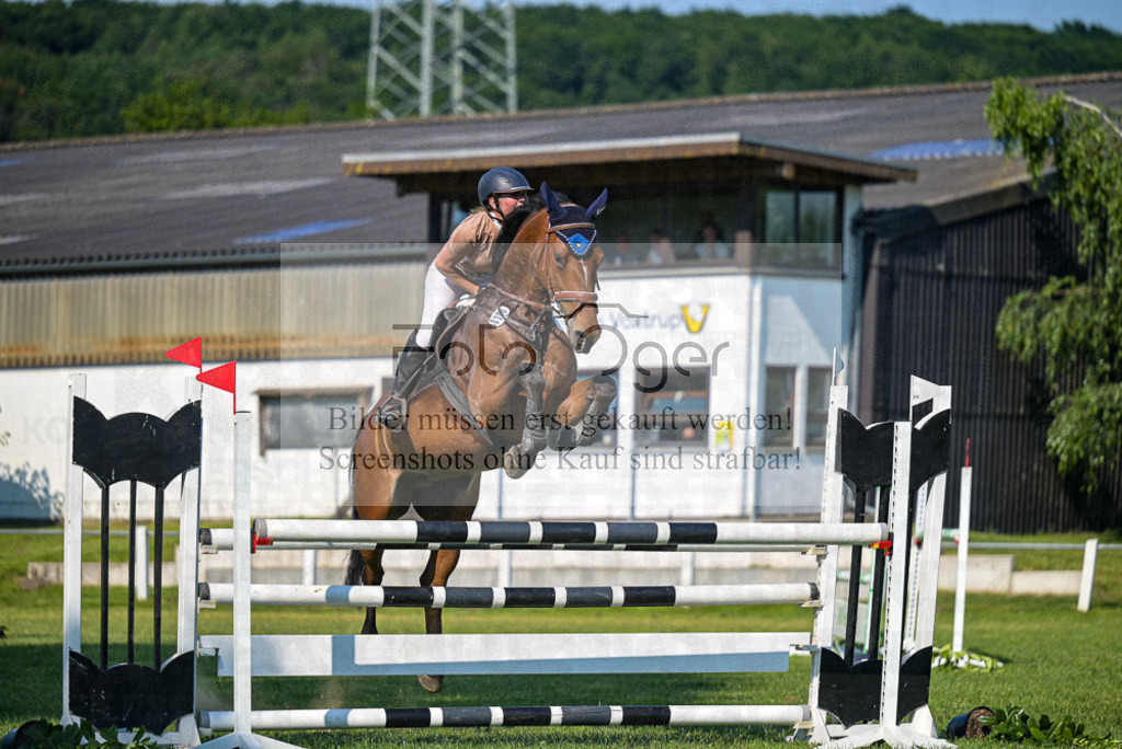 Reitturnier Voxtrup | Entdecke hochwertige Reitturnierfotos von Foto Oger. Professionell, emotional und authentisch – jetzt Lieblingsmomente im Shop bestellen. - Realisiert mit Pictrs.com
