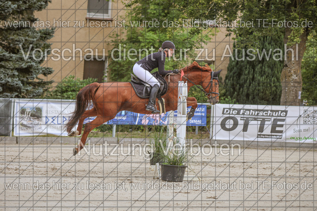 2025-09-22_09-41-27_MG_4304 | TE-Fotos