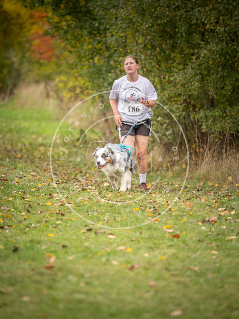 Pfotenfotografie_DV3A3666 | Hundefotografie, Tierfotograf, Pfotenfotografie, Fotoshooting Hund, Hunde Portrait, Hundesport, Hundeportraits, Heideshooting, Hunde, Sportfotograf, Hundefotograf, Turnierhundsport, THS,  - Realisiert mit Pictrs.com