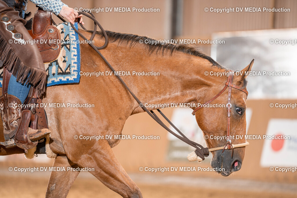 Losheim Tag 1-590 | dv-media-shop - Realisiert mit Pictrs.com