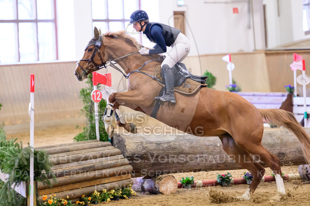 29032026-Schwaiganger-Prfg03-2-0122 | Fokus Hufschlag Fotografie - Realisiert mit Pictrs.com