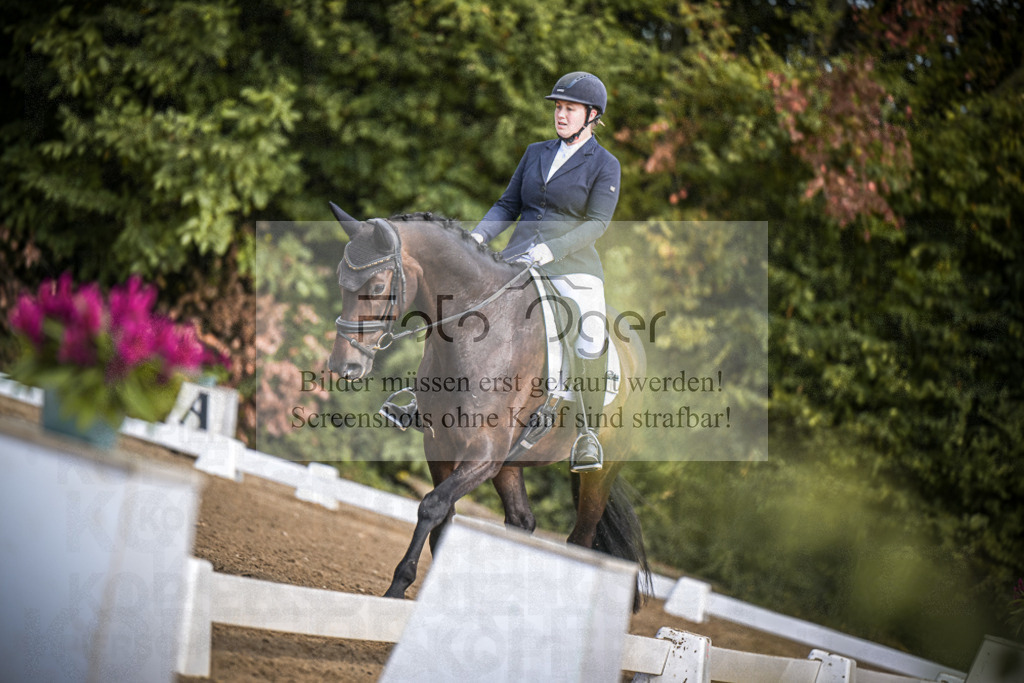 DOS_4360 | Entdecke hochwertige Reitturnierfotos von Foto Oger. Professionell, emotional und authentisch – jetzt Lieblingsmomente im Shop bestellen.Deutschlandweite Turnierfotografie. - Realisiert mit Pictrs.com