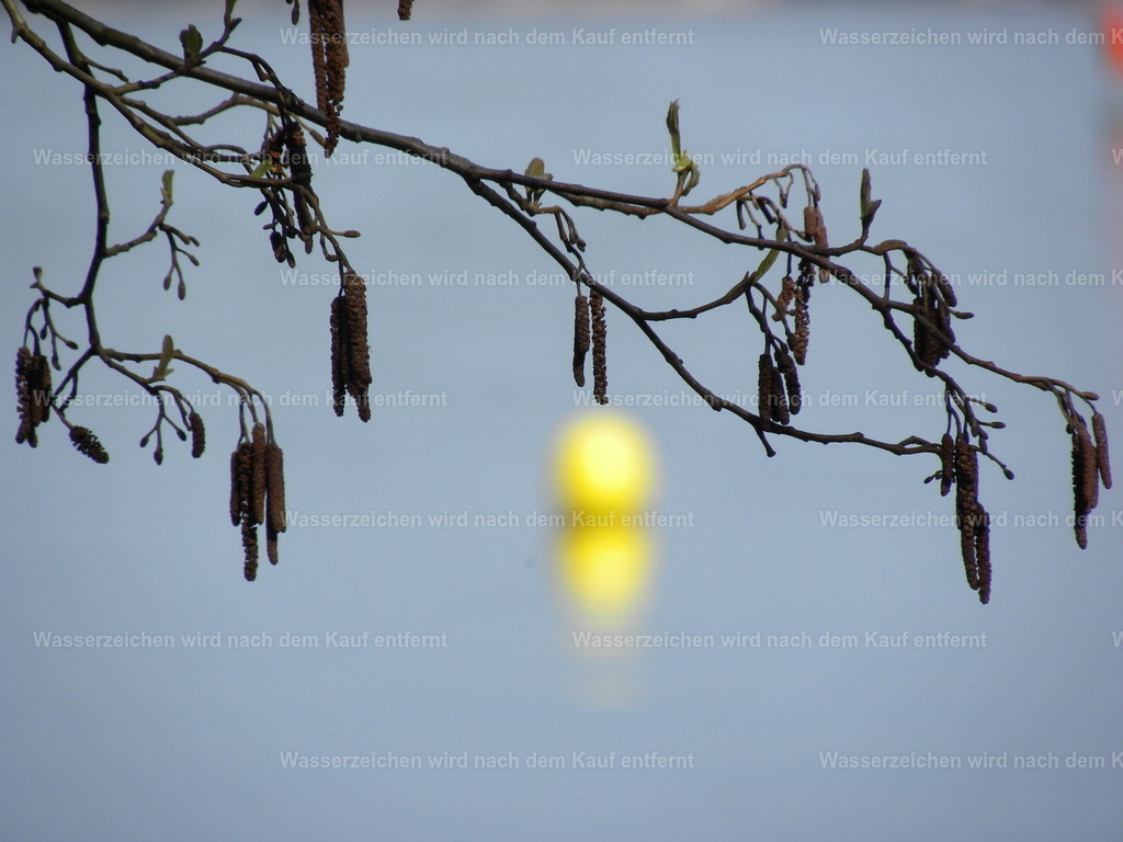 Am See | See mit gelber Kugel - Realisiert mit Pictrs.com