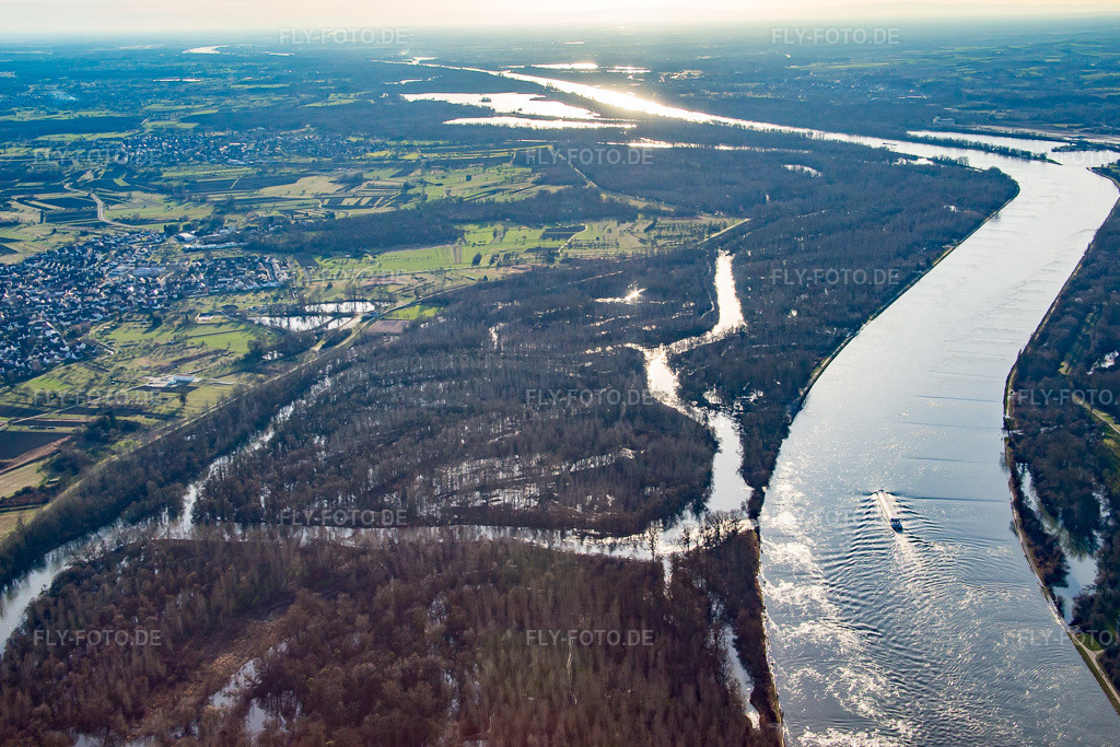Luftbild: Auer Köpfle Illinger Altrheinauen in Au am Rhein im Bundesland Baden-Württemberg in Deutschland. Foto: IMG_085967.jpg vom 06.02.2016 durch Werner Riehm/FLY-FOTO.de