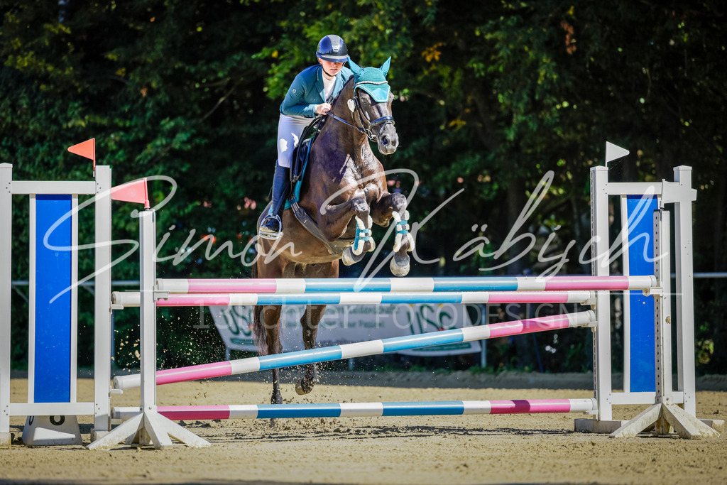 20250906-_3LI3690 | Tierfotografie Pferde, Hunde, Katzen, Haustiere.
Turnierfotografie Reitturniere, Reiten, Springreiten, Dressur in Hanau, dem Main-Kinzig-Kreis und dem Rhein-Main- Gebiet um Frankfurt