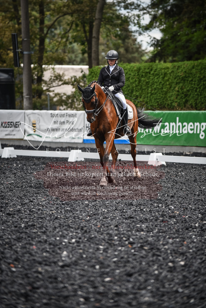 DSC_4976 | Pferde- und Turnierfotografie in Westsachsen. Pferdeportraits, Auftragszeichnungen und intuitive Kunst.