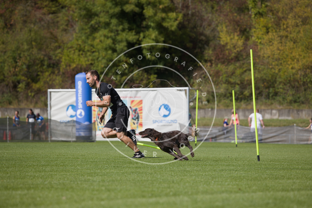0L8A3066 | Hundefotografie, Tierfotograf, Pfotenfotografie, Fotoshooting Hund, Hunde Portrait, Hundesport, Hundeportraits, Heideshooting, Hunde, Sportfotograf, Hundefotograf, Turnierhundsport, THS,  - Realisiert mit Pictrs.com