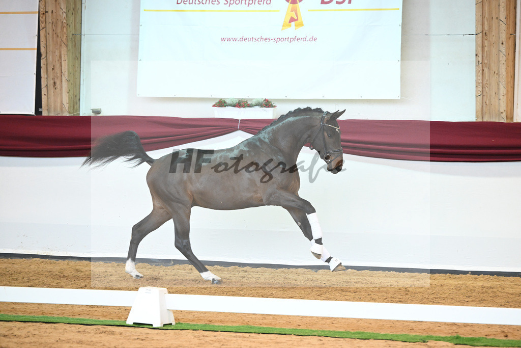 Kat-Nr. 43 v. Mykonos_Sommer_66220950 | hf-fotografie - Realisiert mit Pictrs.com