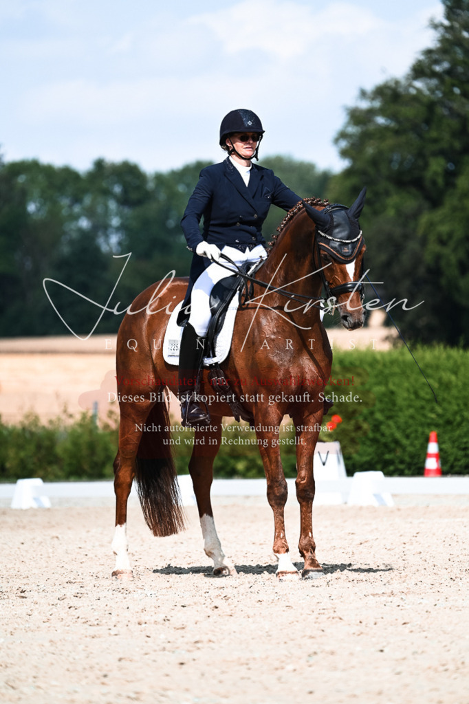 DSC_3224 | Pferde- und Turnierfotografie in Westsachsen. Pferdeportraits, Auftragszeichnungen und intuitive Kunst.