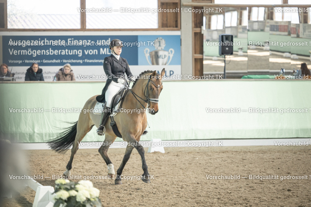 _D5A2277 | Emotionale Pferde- & People-Fotografie rund um Heidelberg, Leimen & Umgebung. Natürliche Fotos von Pferd, Mensch & Familie. Jetzt Termin sichern!