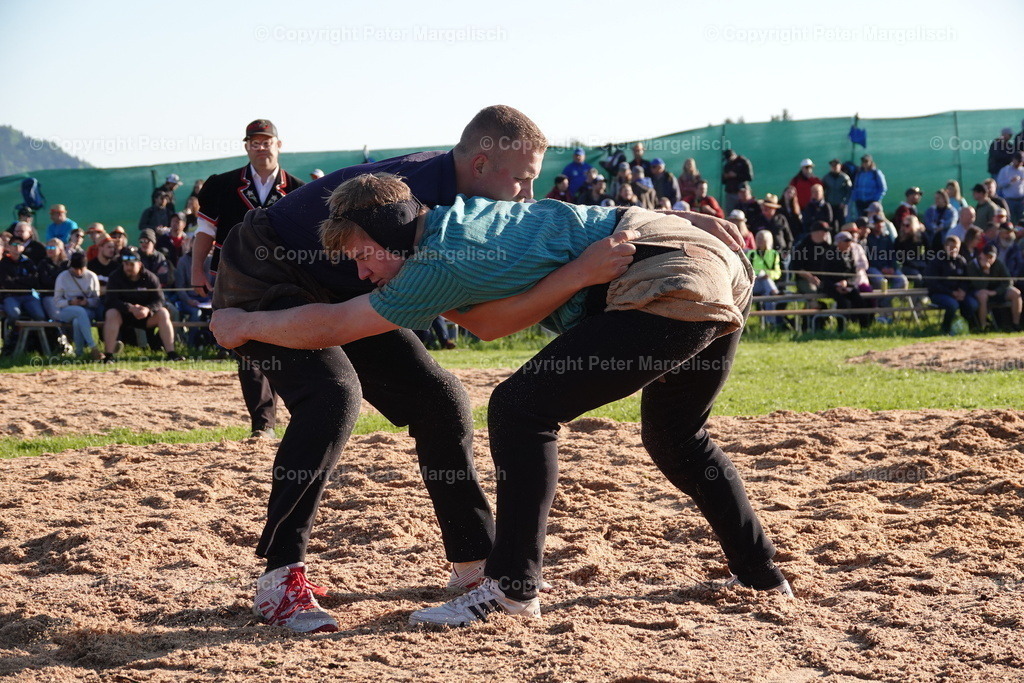 DSC00834 | Schwingen - Realisiert mit Pictrs.com