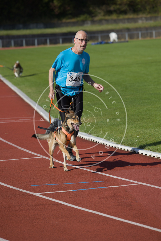 0L8A9250 | Hundefotografie, Tierfotograf, Pfotenfotografie, Fotoshooting Hund, Hunde Portrait, Hundesport, Hundeportraits, Heideshooting, Hunde, Sportfotograf, Hundefotograf, Turnierhundsport, THS,  - Realisiert mit Pictrs.com