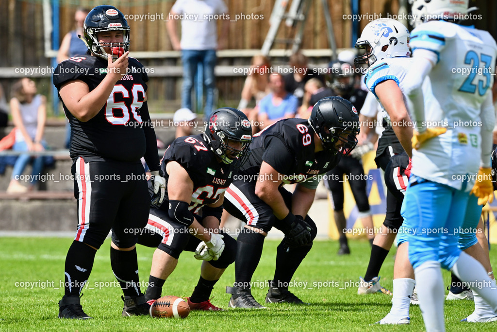 Carinthian Lions vs. Styrian Bears | Carinthian Lions vs. Styrian Bears, Carinthian Lions vs. Styrian Bears am 20.05.2024 in Klagenfurt (ASV Sportplatz), Austria, (Photo by Bernd Stefan)