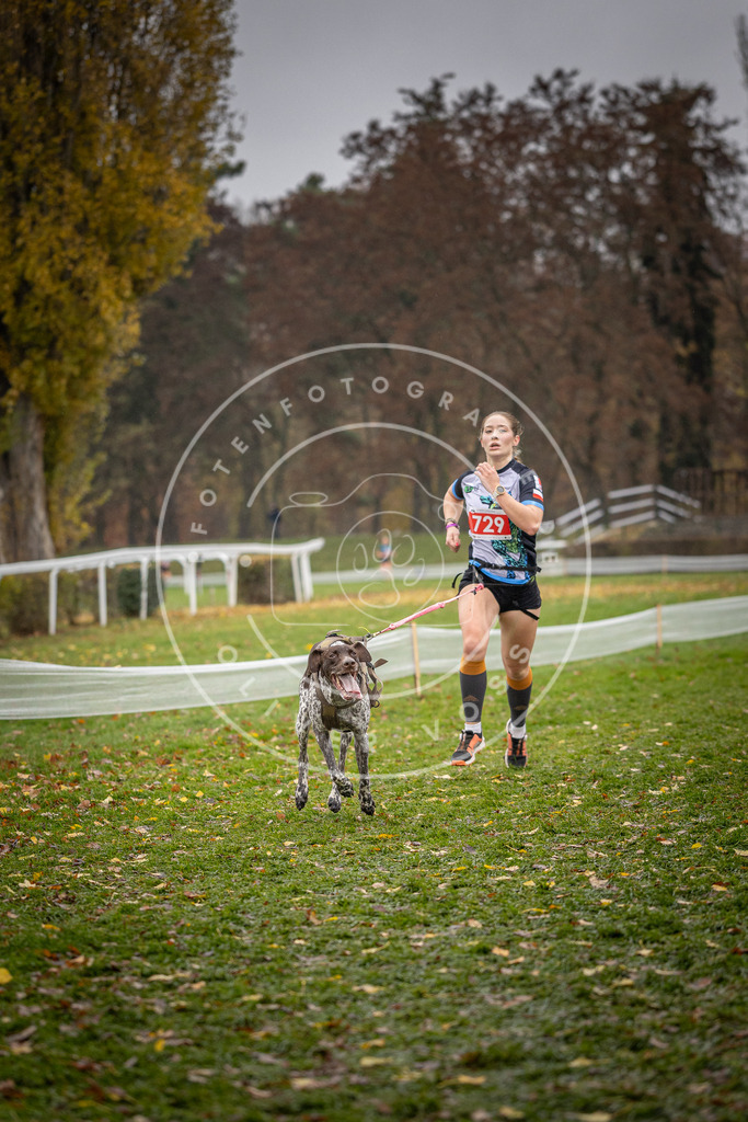 CaniXpix_DV3A9310 | Hundefotografie, Tierfotograf, Pfotenfotografie, Fotoshooting Hund, Hunde Portrait, Hundesport, Hundeportraits, Heideshooting, Hunde, Sportfotograf, Hundefotograf, Turnierhundsport, THS,  - Realisiert mit Pictrs.com