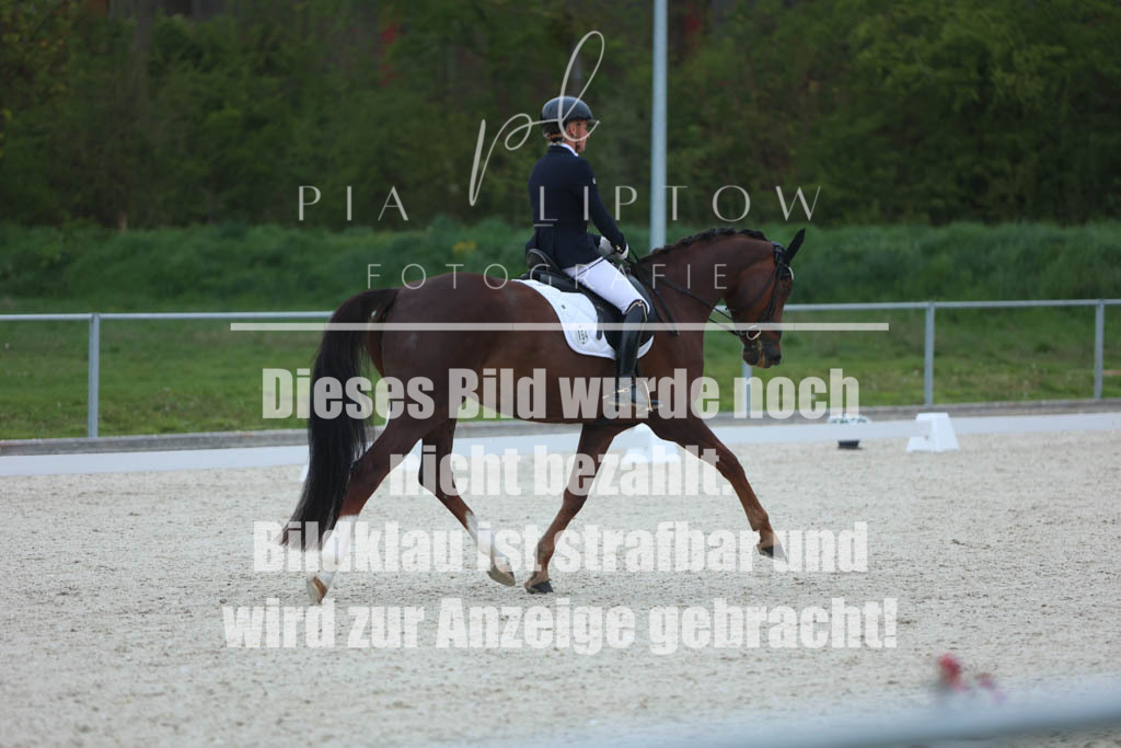 IMGM6125 | pl-fotografie