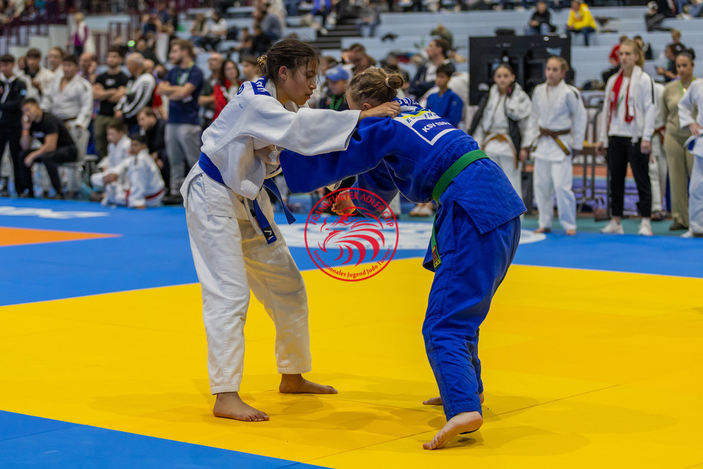Internationaler Adler Cup 2024 | Foto vom Internationalen Adler Cup Judo Turnier im Sport- und Freizeitzentrum Kalbach im Oktober 2024 - Realisiert mit Pictrs.com