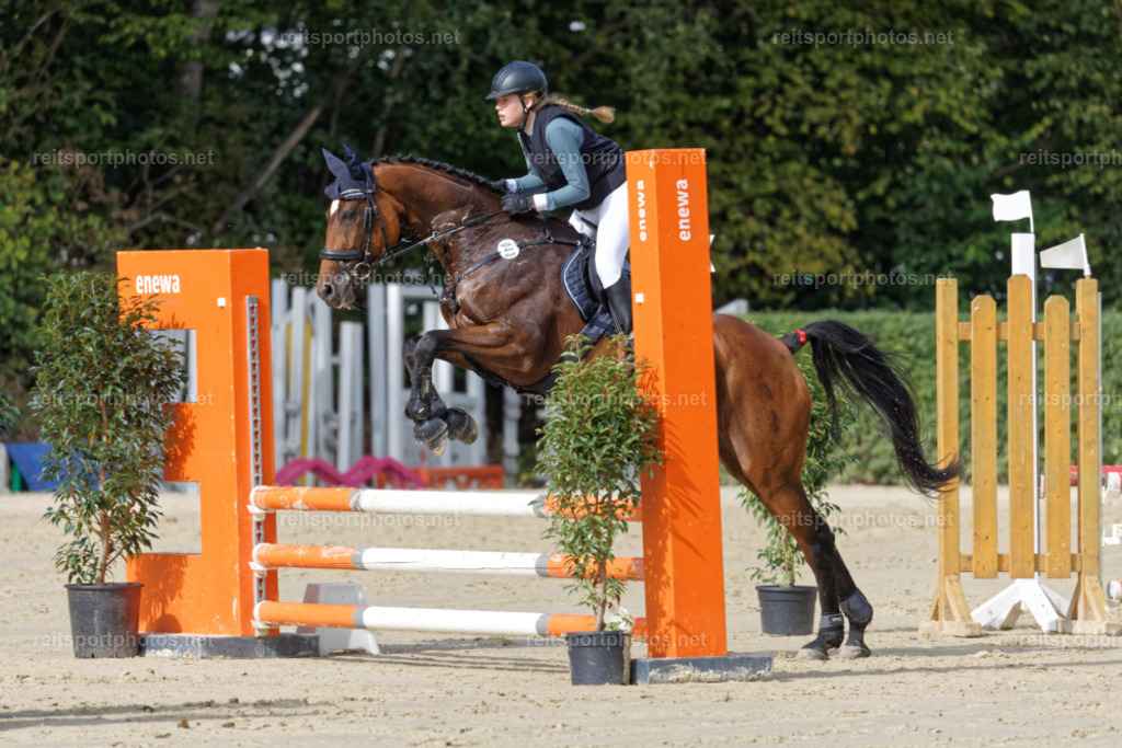 JHE31945 | Joachim Heinrich Fotografie - Realisiert mit Pictrs.com