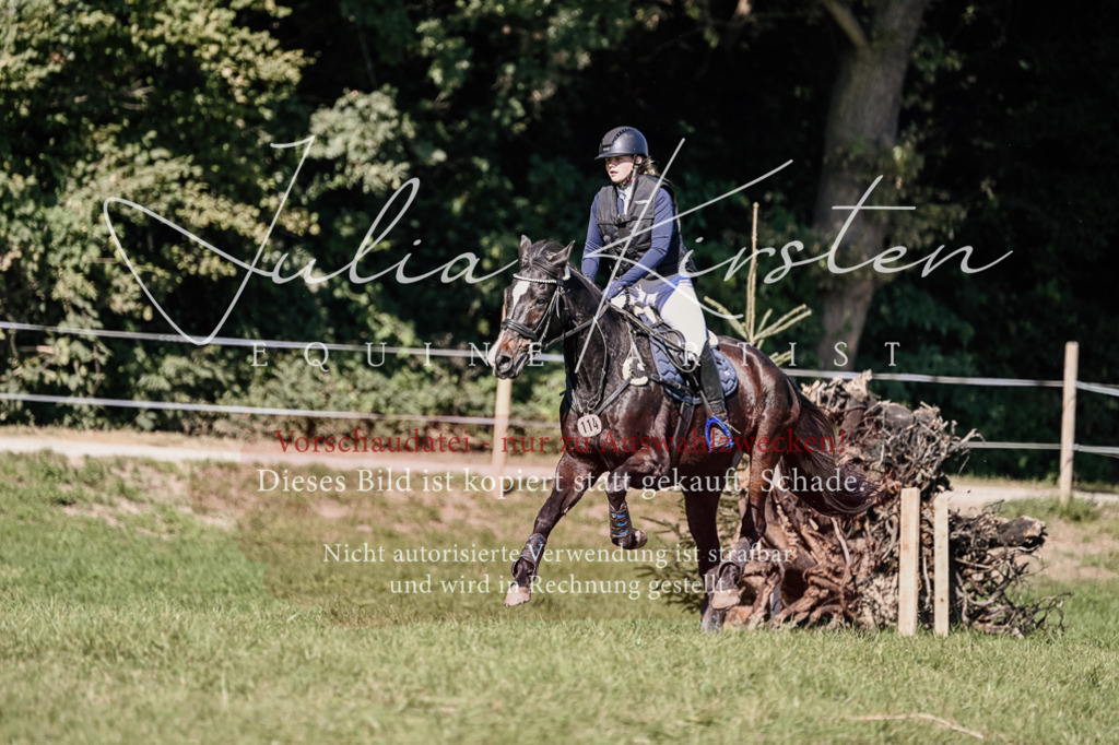DSC_3257 | Pferde- und Turnierfotografie in Westsachsen. Pferdeportraits, Auftragszeichnungen und intuitive Kunst.