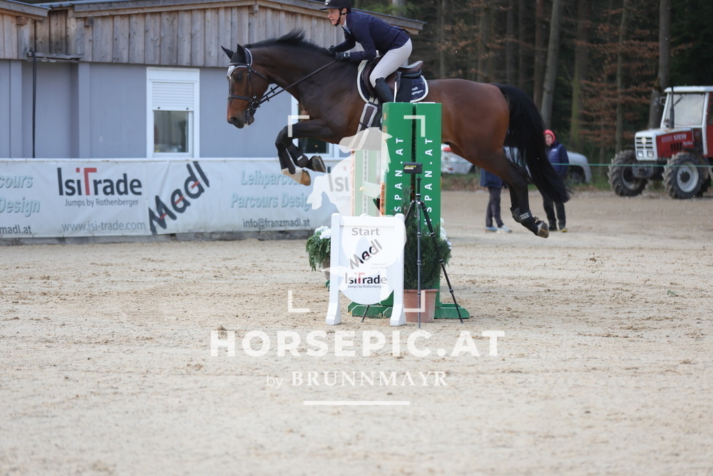 0P6A2878 | Willkommen bei Brunnmayr - Design & Fotografie – Ihrem Spezialisten für Reitturniere und Pferdeveranstaltungen in Oberösterreich, Salzburg und Bayern! Seit über 17 Jahren sind wir leidenschaftlich dabei.