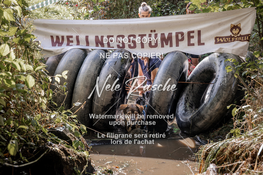 nelerasche_Hunsrück2026_Sa1400-1500_16 | nelerasche
