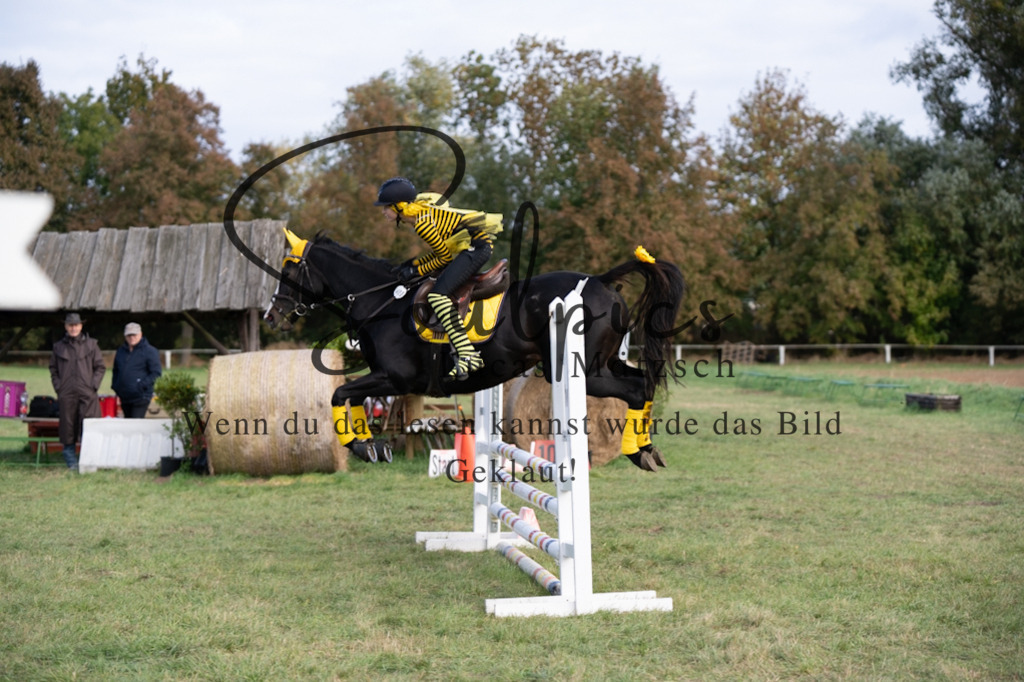 A7V06527 | Pferdefotograf