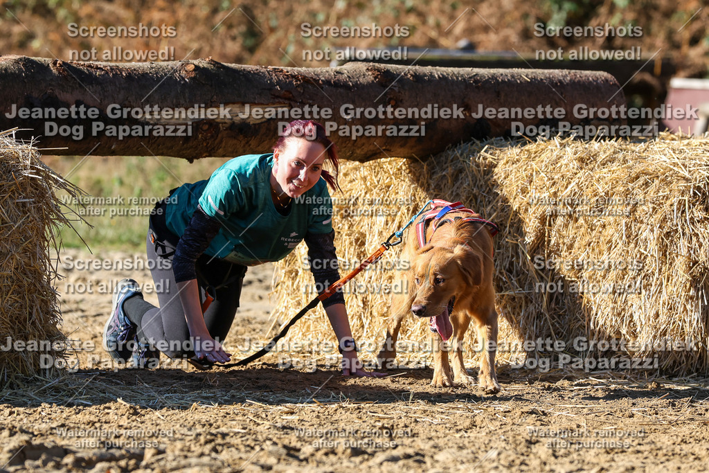 Dog Paparazzi - Strongdog 10-25-2707 | Dog Paparazzi Jeanette Grottendiek Fotografie & Videografie - Realisiert mit Pictrs.com