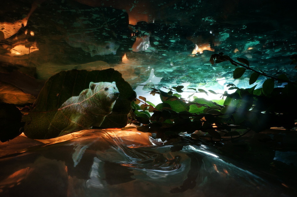 Bär | cornelia-geissler - Realisiert mit Pictrs.com