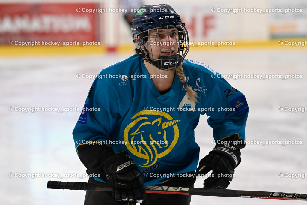 BST_6336 | hockey sports photos, Pressefotos, Sportfotos, hockey247, win 2day icehockeyleague, Handball Austria, Floorball Austria, ÖVV, Kärntner Eishockeyverband, KEHV, KFV, Kärntner Fussballverband, Österreichischer Volleyballverband, Alps Hockey League, ÖFB, 