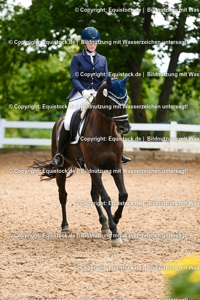 20230716_03_Dressurprfg. Kl.L - Tr._0630 | equistock