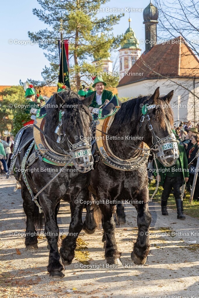 LBT25-1078 | foto-bettina-krinner - Realisiert mit Pictrs.com