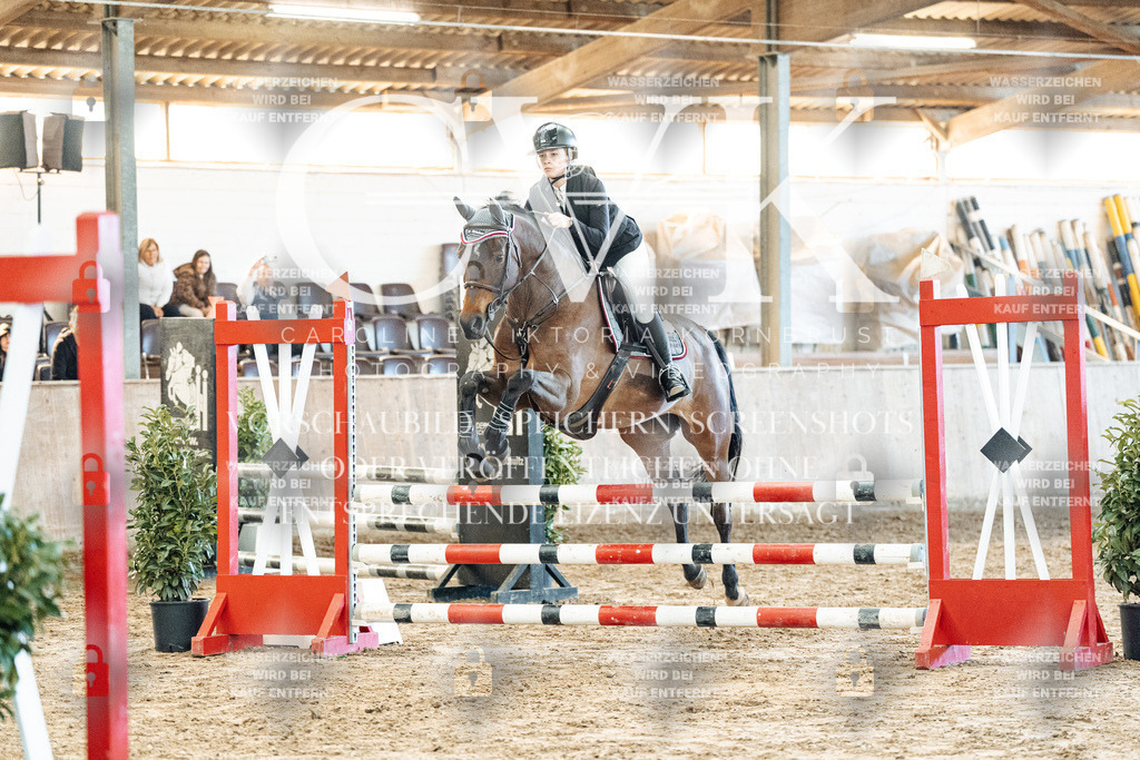 CK904393 | Turnierfotografie Pferdefotografie Trier Rheinland-Pfalz Pferdesport Reitsport Tierfotografie Sportfotografie Pferdevideo Pferdevideografie Equestrianvideography equestrianphotography  - Realized with Pictrs.com