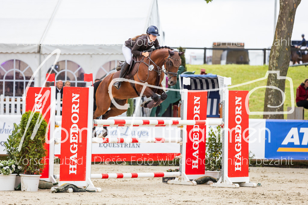 BHO-2PhSpr-M-203 | MomenTaufnahmen Pferdesportfotos