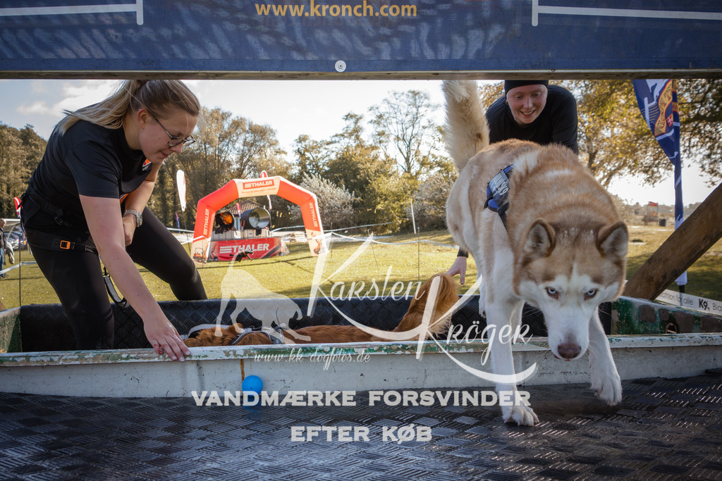 1229_ZZ96624-2 | kk-dogfotos