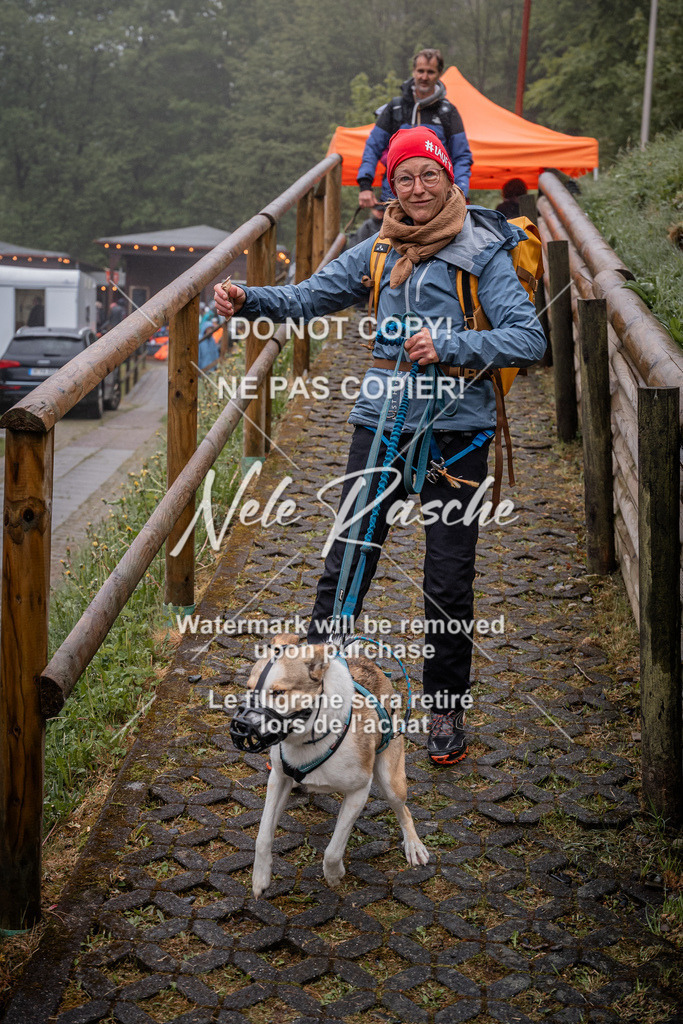 nelerasche_SoAuszug_99 | nelerasche