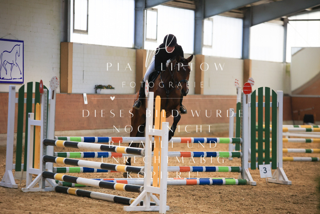 IMGT1754 | pl-fotografie