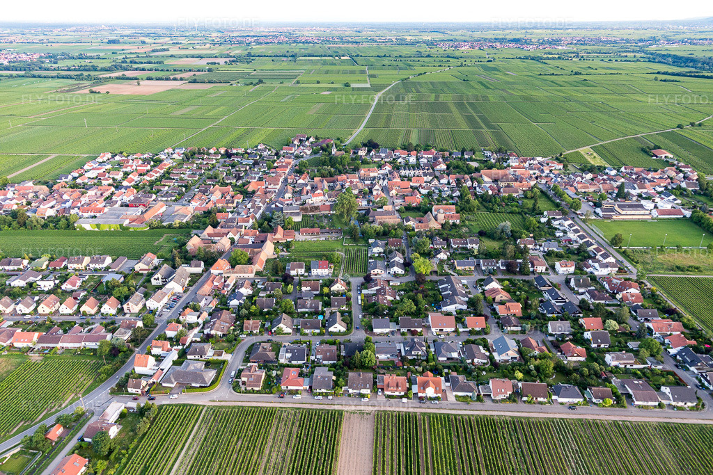 Luftbild: Landwirtschaftliche Nutzflächen und Feldgrenzen umsäumen das Siedlungsgebiet des Dorfes in Friedelsheim im Bundesland Rheinland-Pfalz in Deutschland. Foto: IMG_107732.jpg vom 03.06.2018 durch Werner Riehm/FLY-FOTO.de