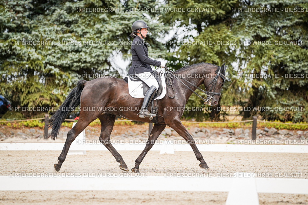 DSC06900 | Pferdegrafie