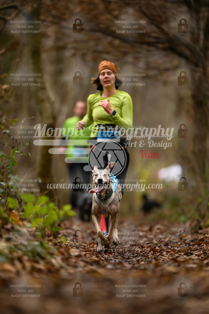 MompixPhotography_Eschau2024_CCC-75 | PayLife